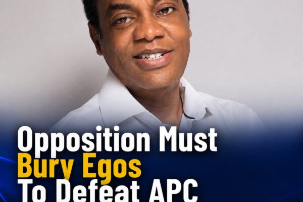 donald-duke-urges-opposition-to-bury-egos-and-unite-against-apc