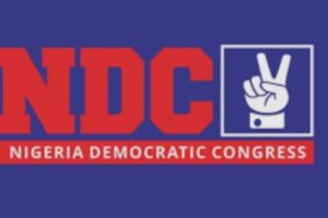 NDC Is Calling Out Tinubu’s Petrol Discount Gimmick