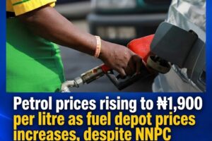 How the FG’s 30-Day Petrol Discount Evaporated Before Reaching the Pump